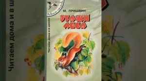 Слушать детскую сказку - Этажи леса