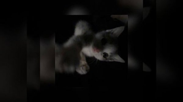 Скриптонит — Космос (SPEED UP) 🌌🌔