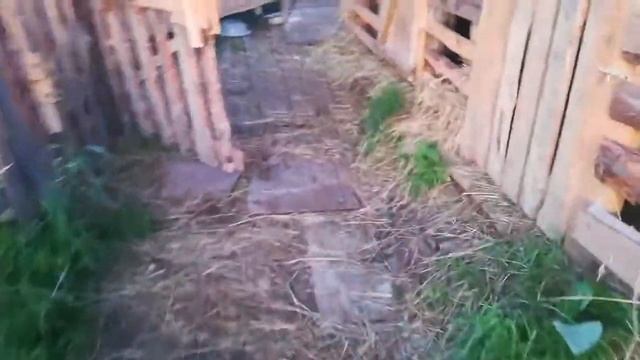 Самодельная коптильня. Наш первый опыт в копчения сала смотреть онлайн