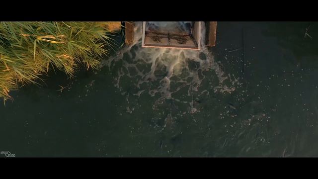 ООО Семикаракорская рыба. Аэросъемка смотреть онлайн