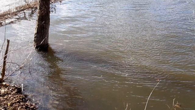 САМСУНГ А50 снимаю 1080