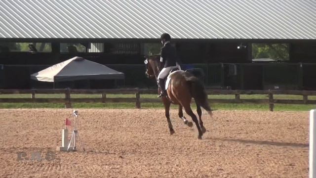 Grace Williams & Over It at Texas Rose Horse Park CCI/CIC & HT 2018 смотреть онлайн