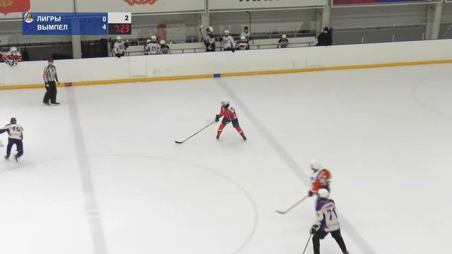 Лигры - Вымпел 3 марта 2024 смотреть онлайн