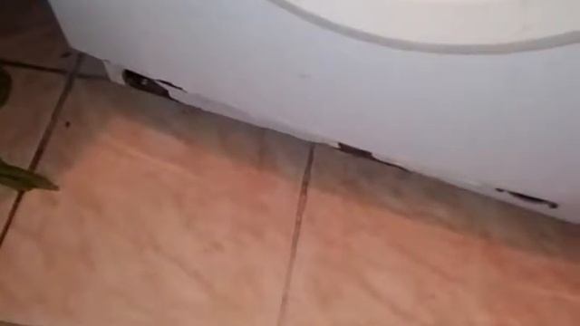 3в1 стиралка samsung s821 результаты ремонта помпы, s821 замене тэна, s821 замена блокировки двери смотреть онлайн