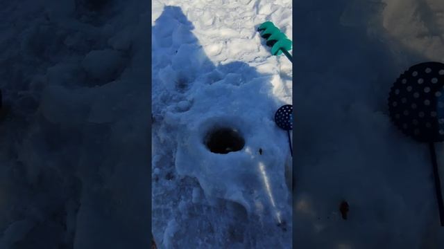 В ЭТОМ ВСЯ РЫБАЛКА! смотреть онлайн