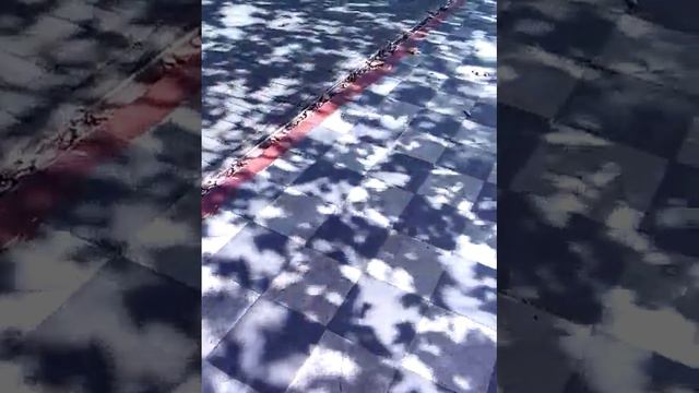 Торговый ряд платановая аллея Лазаревский р-н г Сочи.Мошенничество и подлог с документами