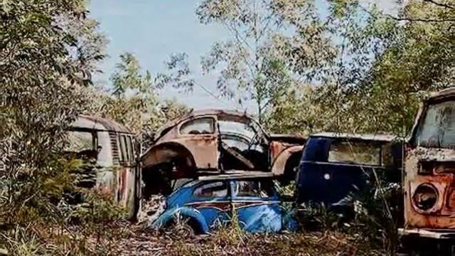 Overgrown VW Graveyard смотреть онлайн