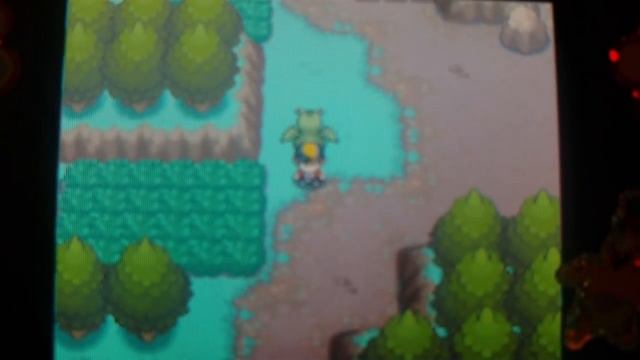 Safari Zone Objects Tutorial - Pokemon Heart Gold and Soul Silver смотреть онлайн