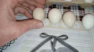 #Как выбрать яйцо для инкубатора