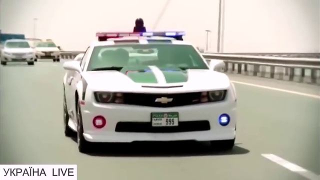 ПОЛИЦИЯ В ДУБАИ | POLICE IN DUBAI