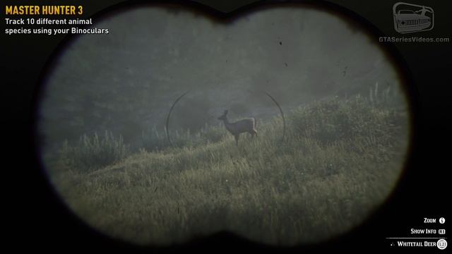 Red Dead Redemption 2 Master Hunter Challenge #3 Guide - Track 10 different animal species смотреть онлайн