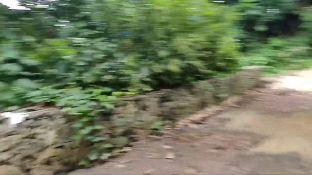 SAYANG MGA TAIWAN NAPABAYAAN LANG (NAKITA KO SA TUGTUGAN) смотреть онлайн