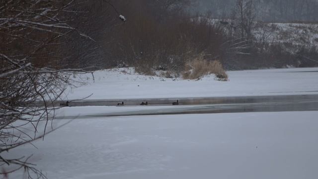 sony ax 43, съемка в пасмурный день, выпал снег, глухозимье смотреть онлайн