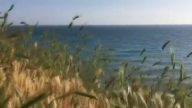 Анапа. Колосья. Май 2016 смотреть онлайн