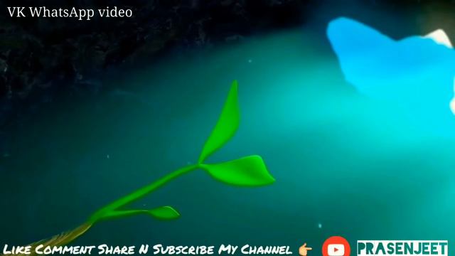 Amazing plant, latest whatapp video,best whatapp status,(hindi/2018)vk whatapp video, смотреть онлайн