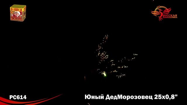 Салют Юный Дед Морозовец 25 залпов смотреть онлайн