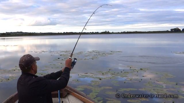 Pike fishing w lures: Salmo popper & DUO top water crank. Рыбалка: щука на поппер и крэнк. смотреть онлайн