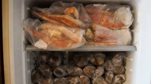 Сколько можно хранить мясо в морозилке