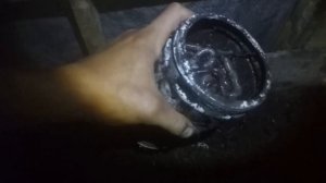 как поймать летом выползков в засуху