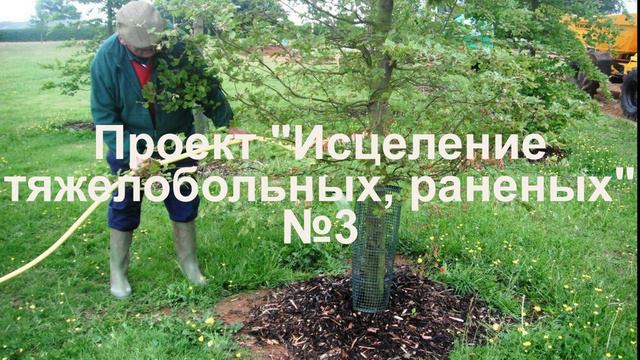 Проект Исцеление тяжелобольных, раненых. № 3