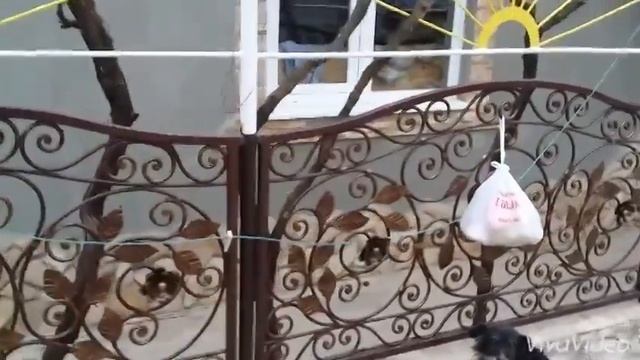 Кованные ворота, забор и перила смотреть онлайн