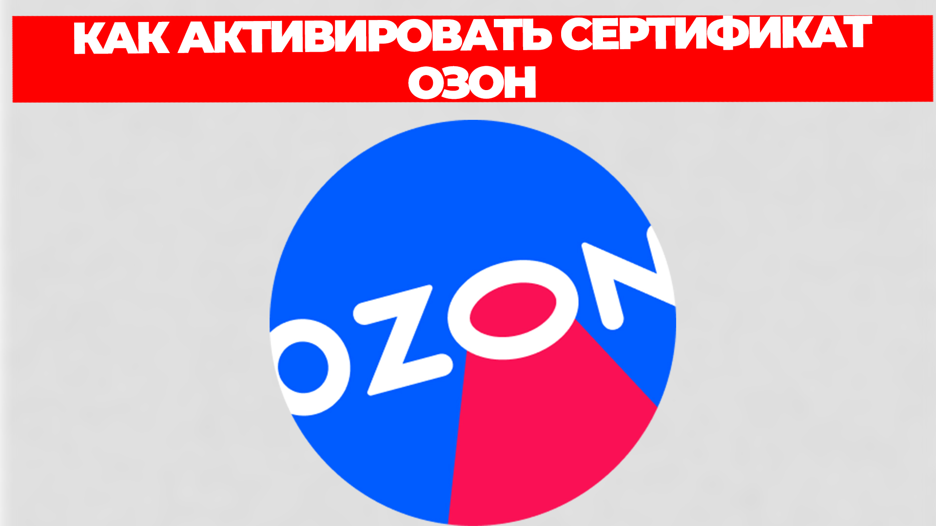 Всезнающий Енот