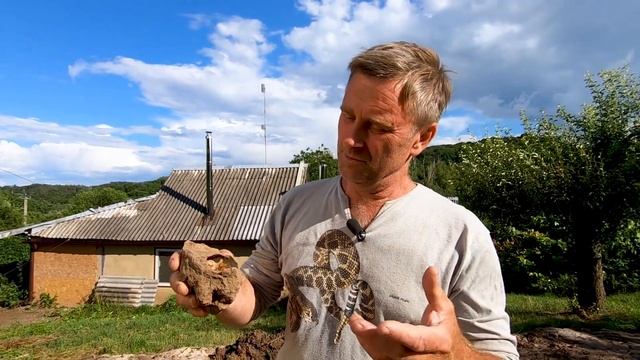 ЇЇ мало хто бачив.  Лялечка жука оленя.