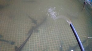 ФИЛЬТР ДЛЯ ОСЕТРОВОГО УЗВ ЗА КОПЕЙКИ