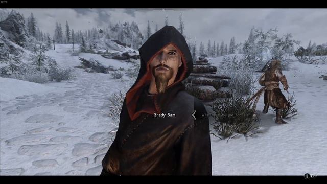 Todd Howard and his situational timing смотреть онлайн