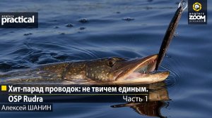 Хит-парад проводок: не твичем единым. OSP Rudra. Алексей Шанин.  Часть 1