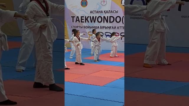 Аттестация на зеленый пояс, таеквандо Казахстан смотреть онлайн