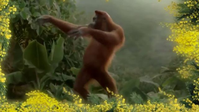 Лучшее поздравление с 8 мартом для милых дам смотреть онлайн