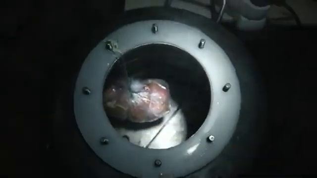 рулька в автоклаве смотреть онлайн