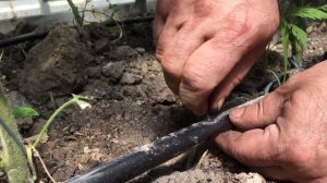 Забился капельный полив? Есть решение!