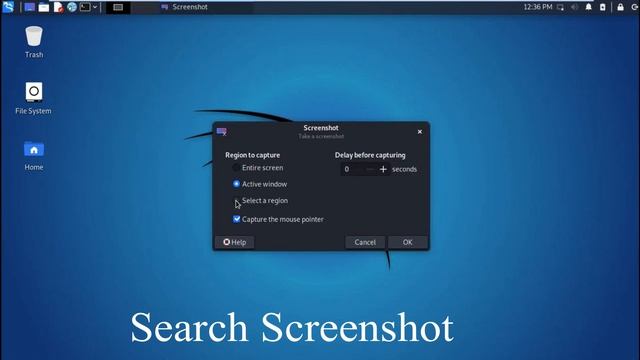 How can i take screenshots in kali linux смотреть онлайн