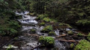 Успокаивающая музыка Моцарта ♥  Самые известные классические произведения