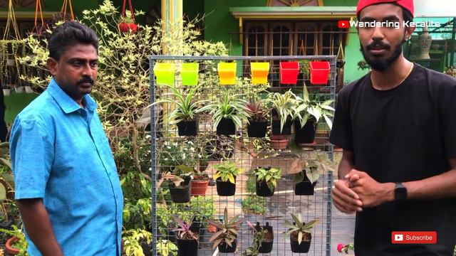 500 ൽ അതികം ചെടികൾ വിൽക്കുന്ന Plantart Agri Farm and garden visit 🌺✅| Cheapest nursery | Mala Keral смотреть онлайн