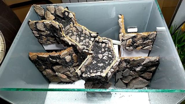 Создание небольшого палюдариума с рекой и водопадом. смотреть онлайн