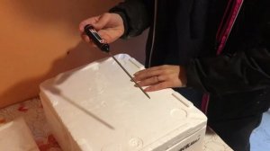 Инкубация икры форели