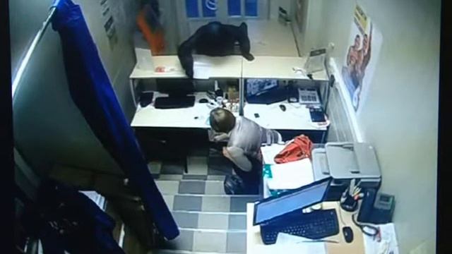 Полицейский вестник выпуск №104 смотреть онлайн