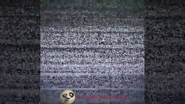 Придурки #14 смотреть онлайн