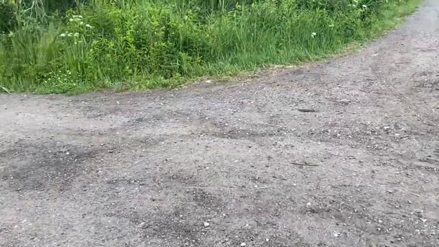 Дача???!! Идём в деревню Снопок !! Этажерка от старого хозяина !! Будем красить ! смотреть онлайн