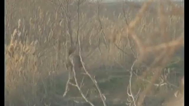 2010 02 28 Дания Живодёрня Варвары ФОТО Новиков Беларусь 89 смотреть онлайн