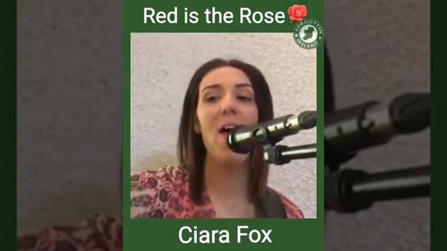 Ciara Fox - Red is the Rose смотреть онлайн