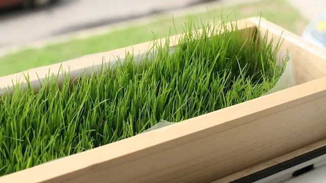 Топ 5 традиций Пасхи / Куличи / Яйца Фаберже смотреть онлайн