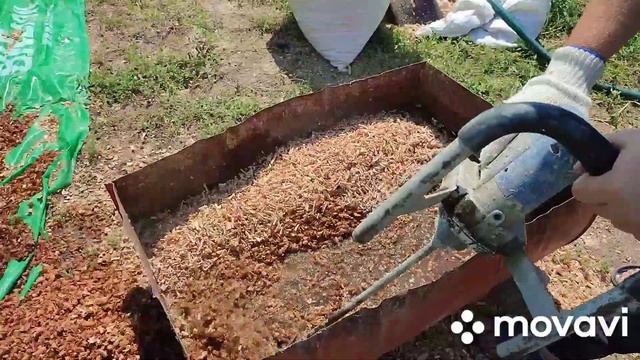 Выгонка тюльпанов, подготовка опилок, проверенный способ смотреть онлайн