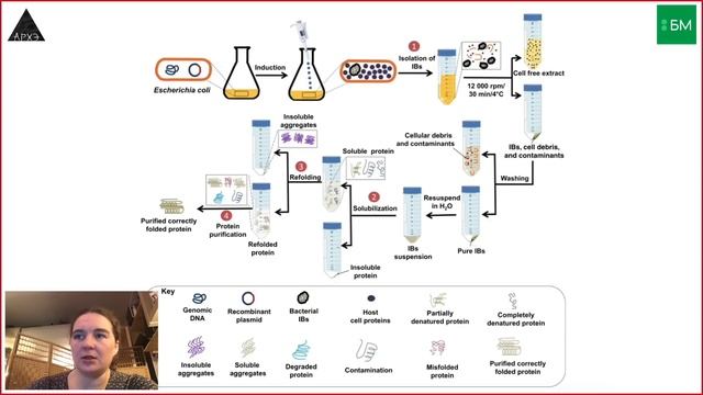 Мария Летарова: "Волшебная палочка молбиолога" смотреть онлайн