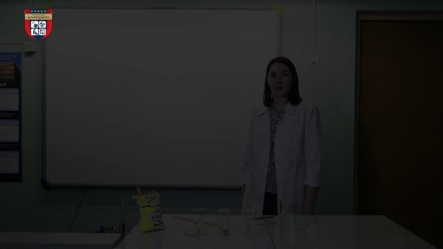 Просто о сложном: Что такое осмос и с чем его едят?