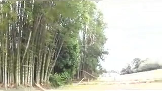 Parque Rio das Pedras - primeiro vídeo смотреть онлайн