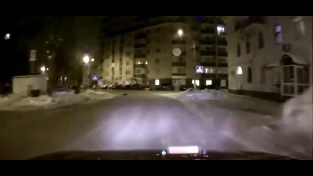 Некоторые животные иногда умнее людей! смотреть онлайн